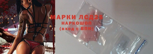 ГАЛЛЮЦИНОГЕННЫЕ ГРИБЫ Покачи