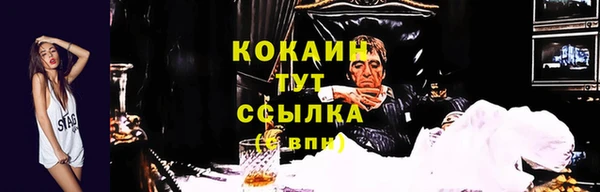 ГАЛЛЮЦИНОГЕННЫЕ ГРИБЫ Покачи